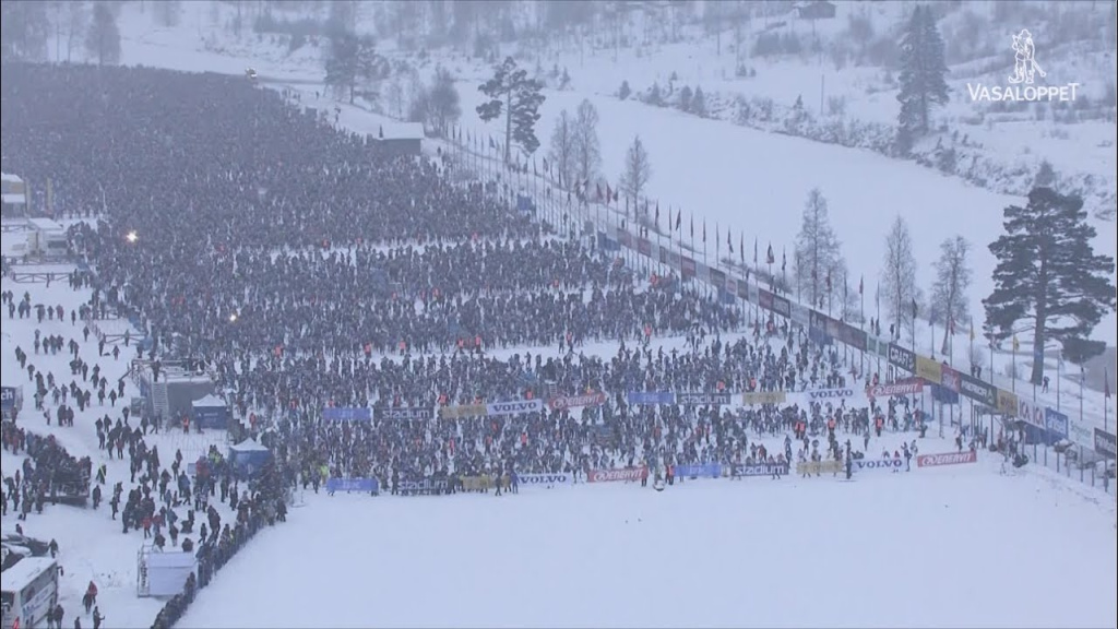 На старт Васалоппет ежегодно выходит около 12.000 человек. 