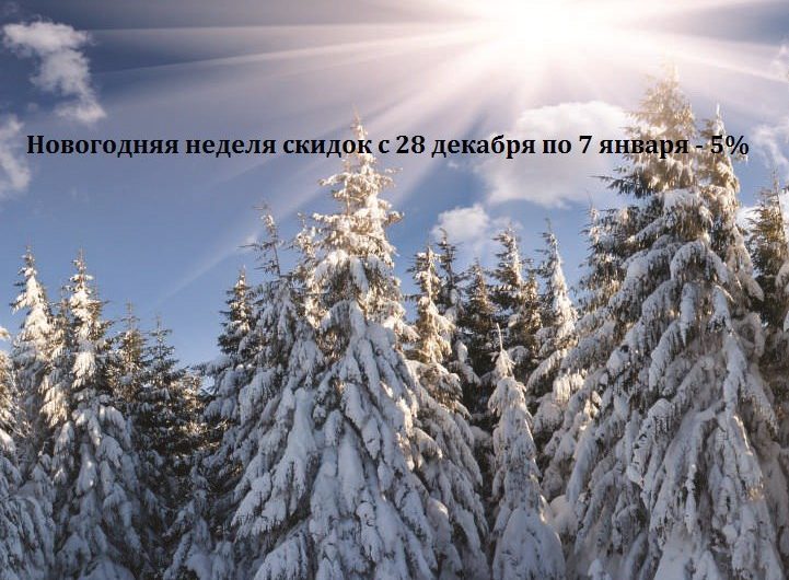 Скидки на Новый год в магазине Sport-Nordic