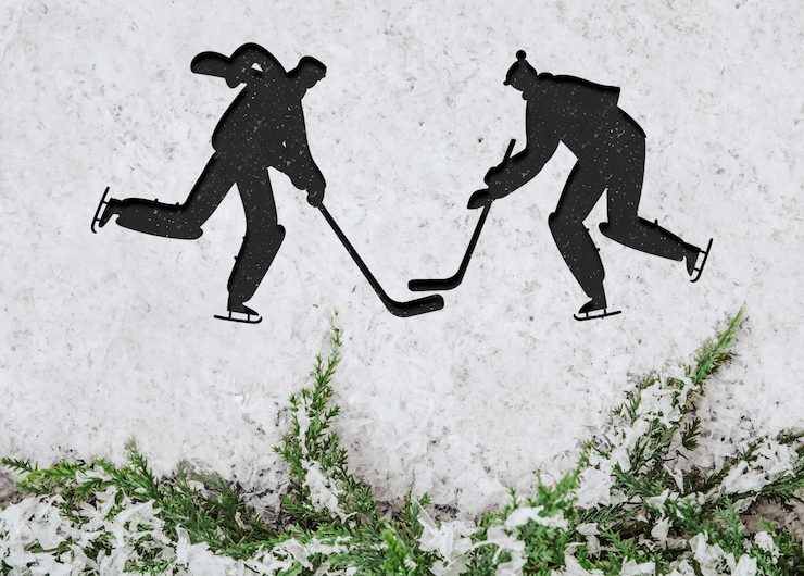 Конкурс логотипов для Федерации лыжных гонок Удмуртии от Максима Вылегжанина