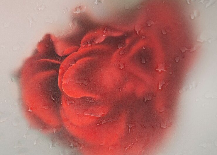 Евгения Павлова о преодолении вершины: слезы и мольбы о спуске