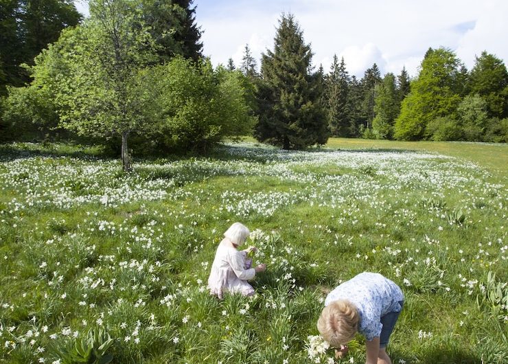 Традиционная гонка на выживание в Ромашково вернется после шестилетнего перерыва и будет посвящена заслуженному мастеру спорта Александру Завьялову.